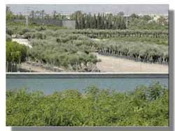 Vista Panorámica 1