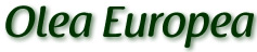Olea Europea